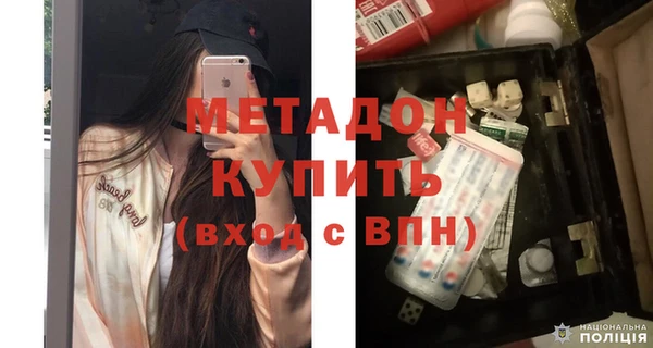 прущие грибы Сосновоборск